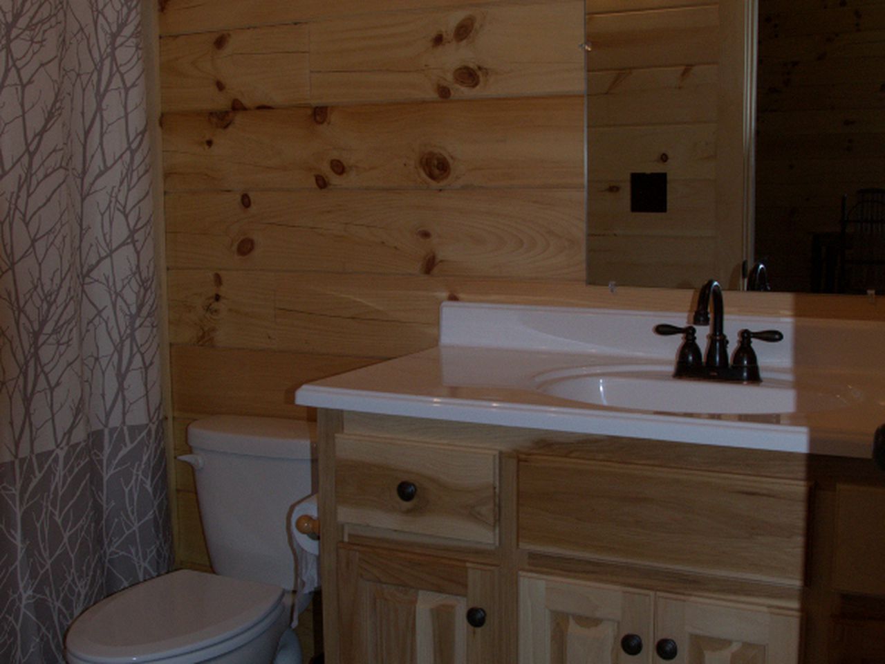 Woodland Cabin Rental near High Bridge Trail State Park in Prince Edward County, Virginia