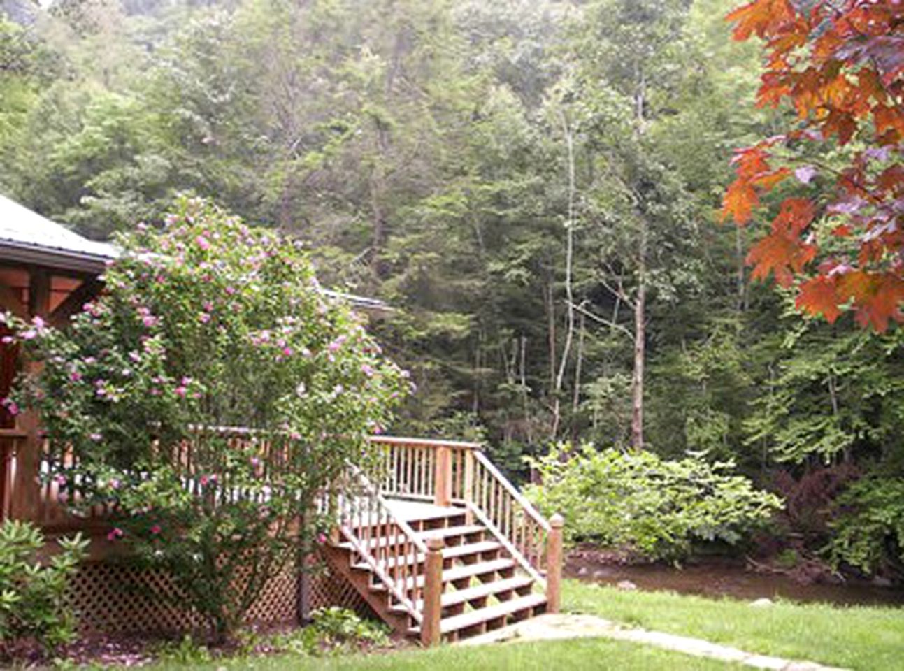 Cabin Rental on Helton Creek, North Carolina
