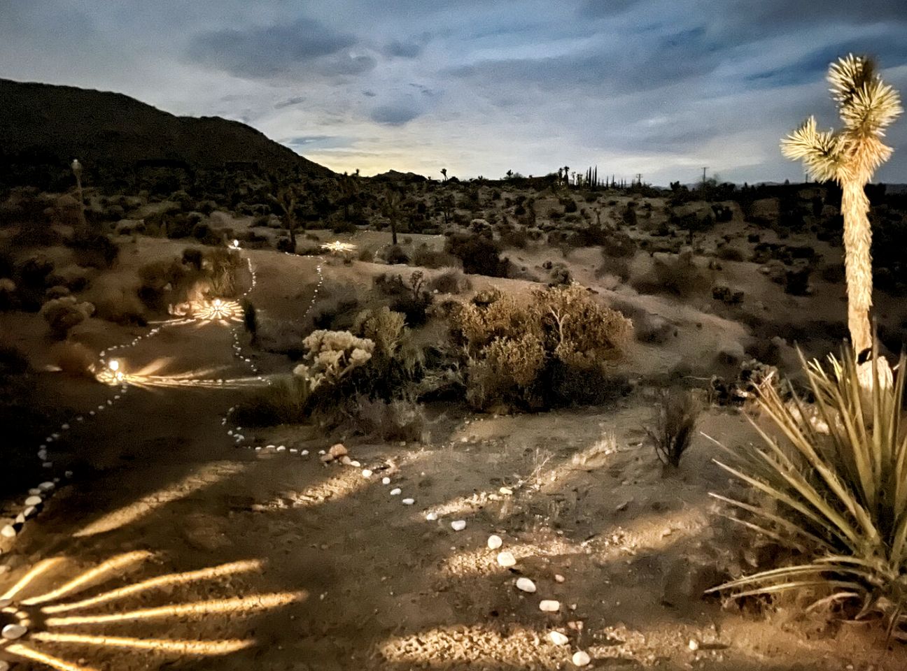 Secluded Vacation Rental with Gorgeous Desert Views in Joshua Tree, California