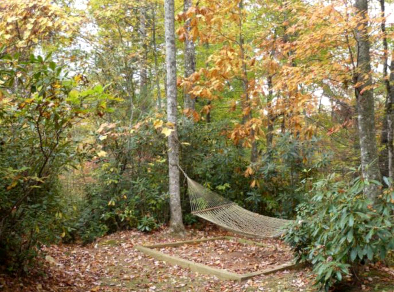 Spacious Cabin Tucked Away in the Mountains near Highlands, North Carolina