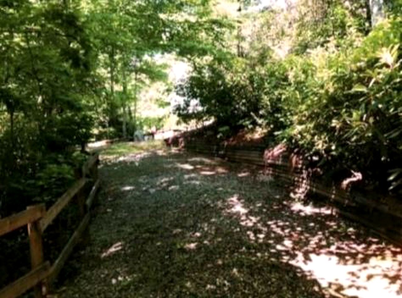 Spacious Cabin Tucked Away in the Mountains near Highlands, North Carolina