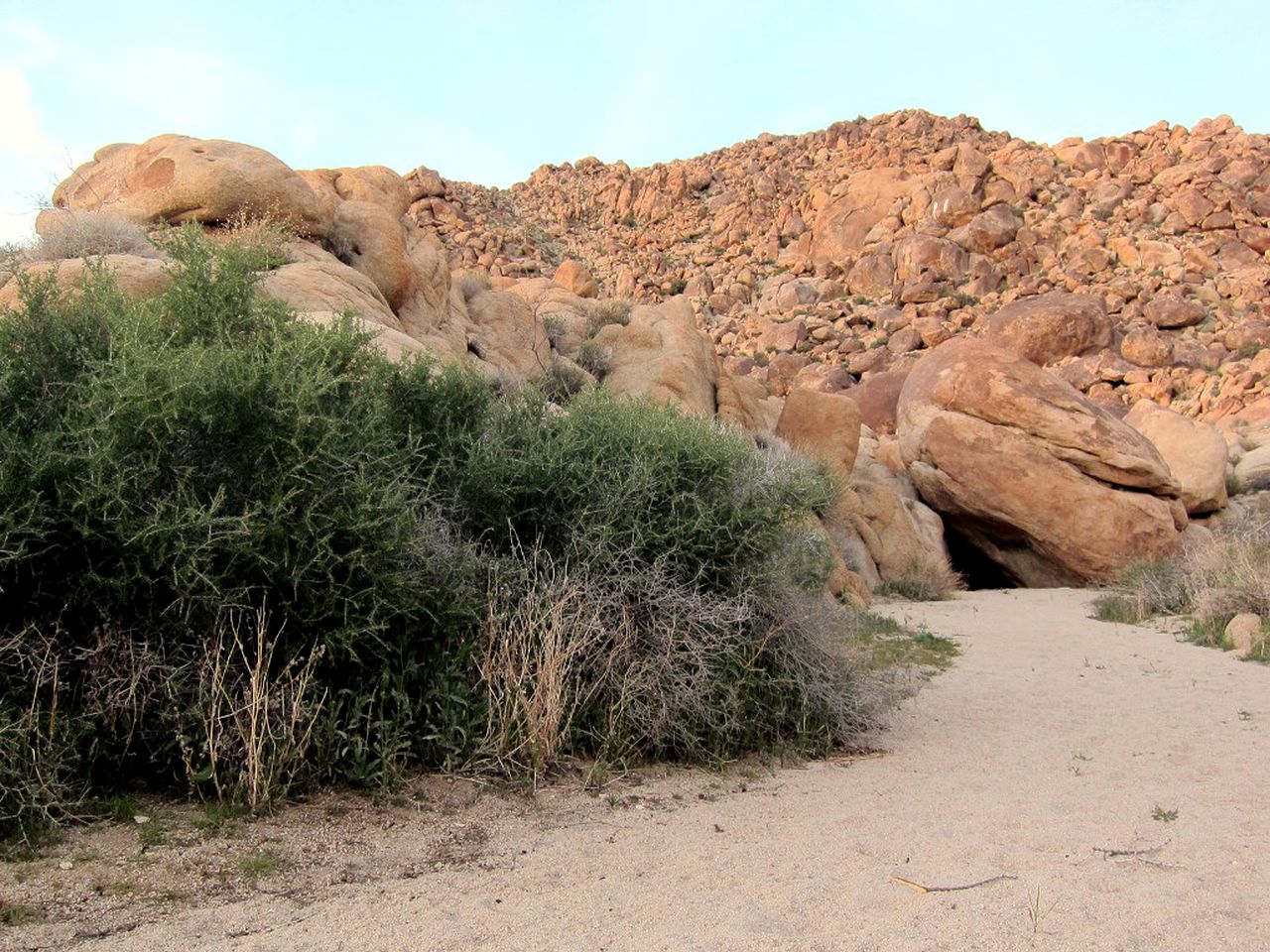 Vacation Rental in Joshua Tree, California Glamping Hub