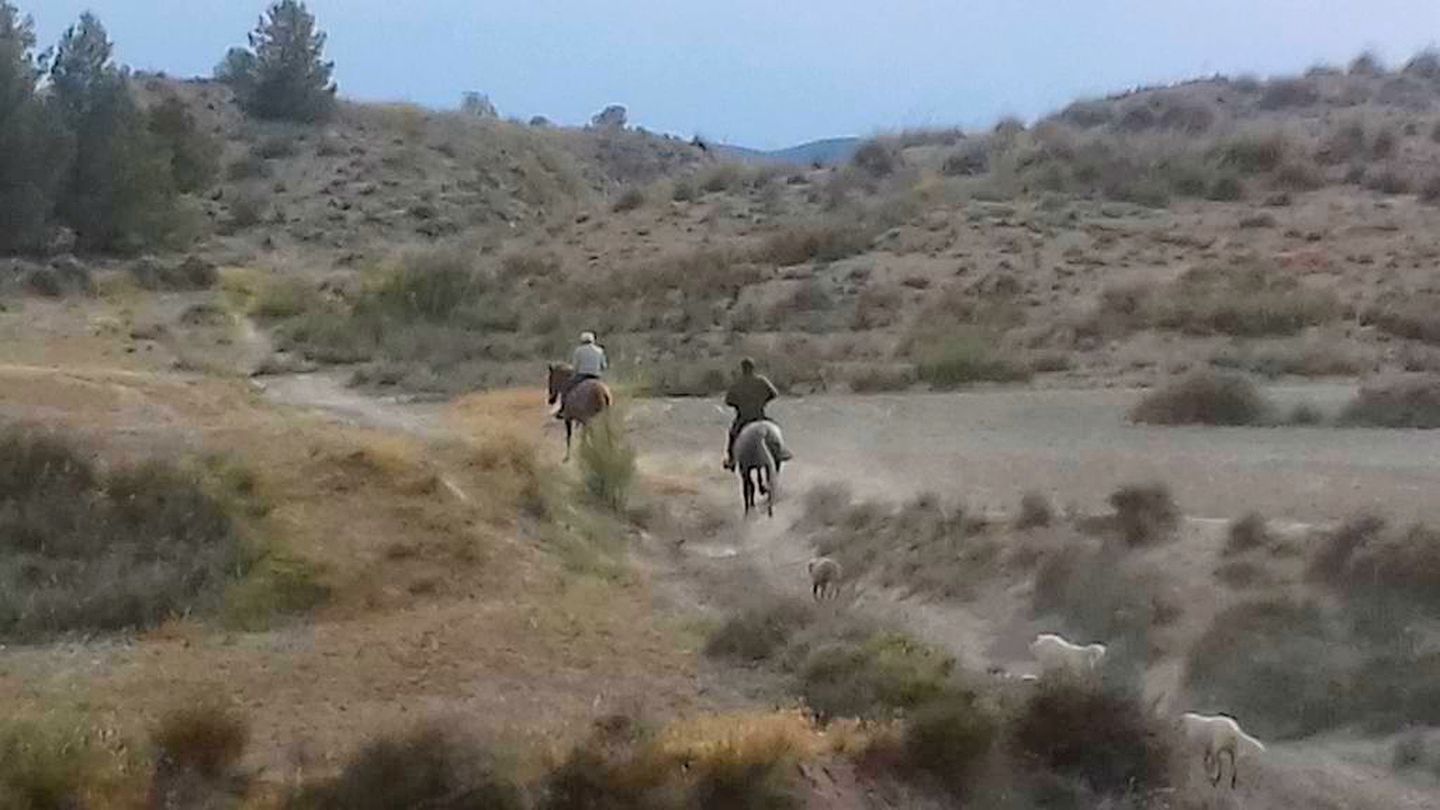Wonderful Cave Suite in the Countryside of Andalusia, Spain