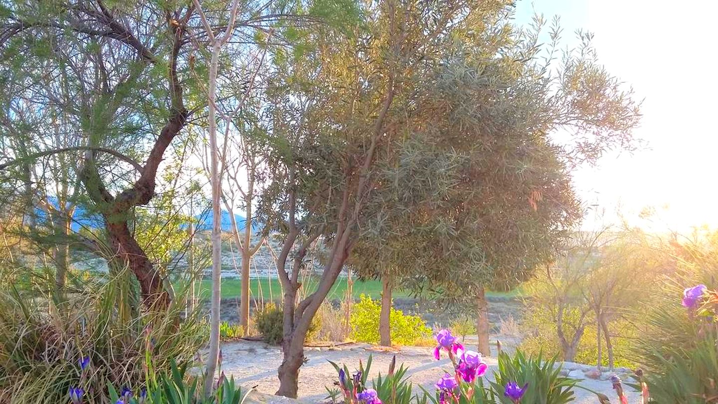 Wonderful Cave Suite in the Countryside of Andalusia, Spain