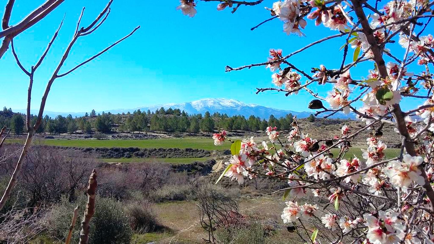 Wonderful Cave Suite in the Countryside of Andalusia, Spain
