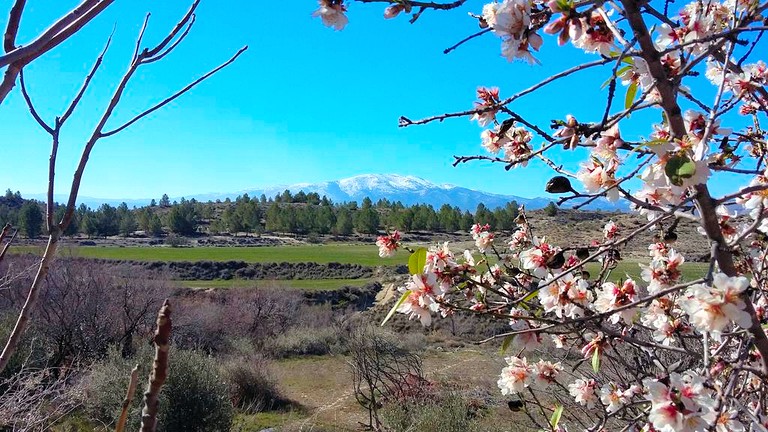 Caves (Granada, Andalusia, Spain)