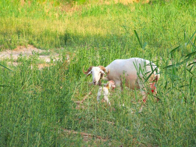 Caves (Granada, Andalusia, Spain)