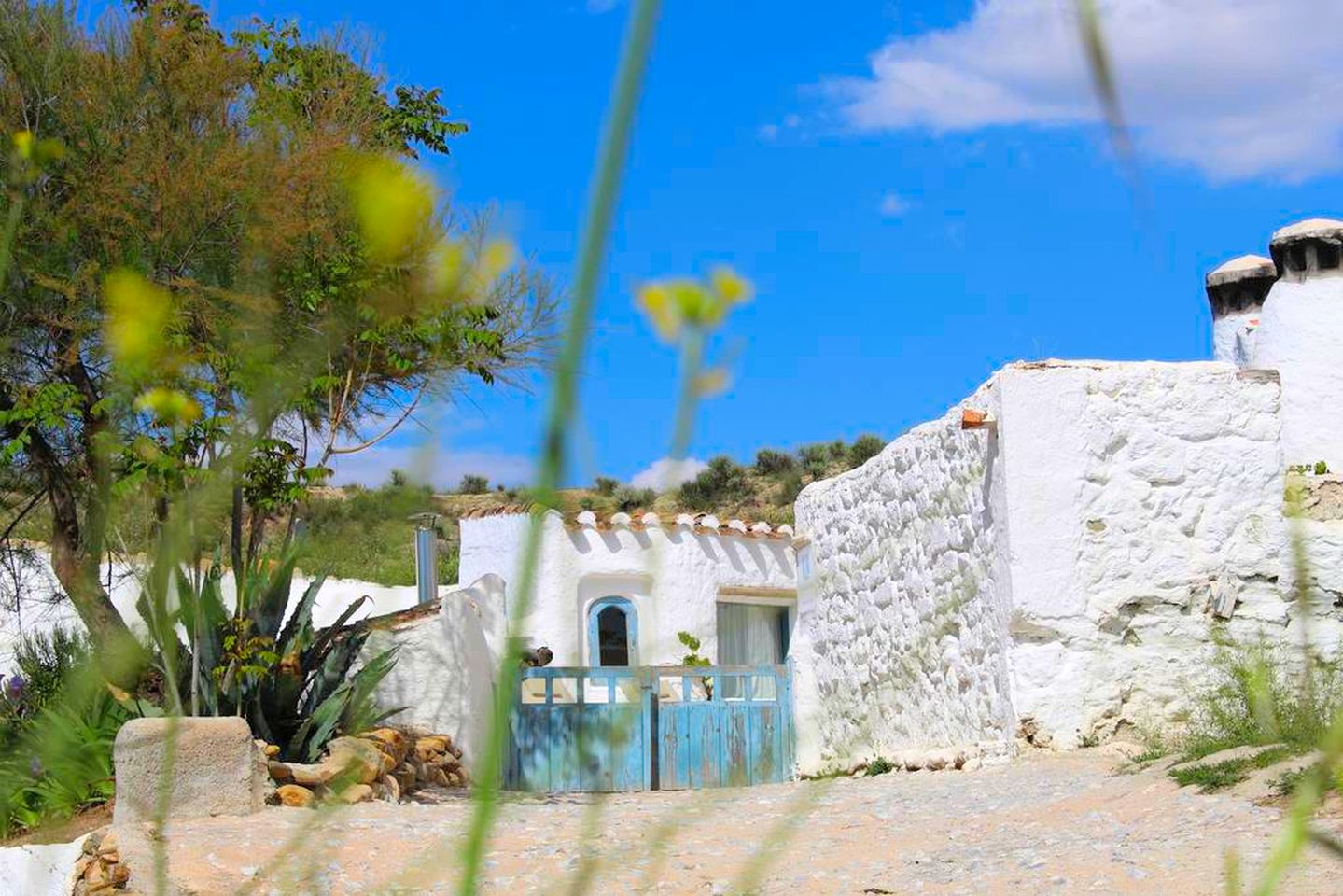 Wonderful Cave Suite in the Countryside of Andalusia, Spain