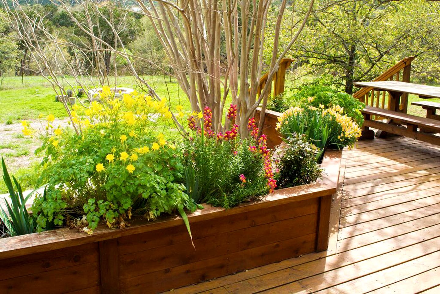 Spacious Hill Country Home Along the Banks of Smith Creek