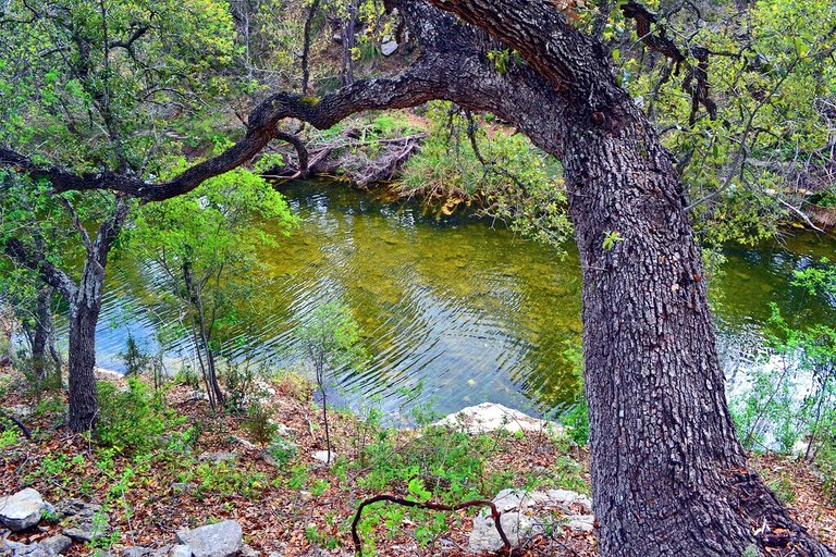 Cottages (United States of America, Wimberley, Texas)