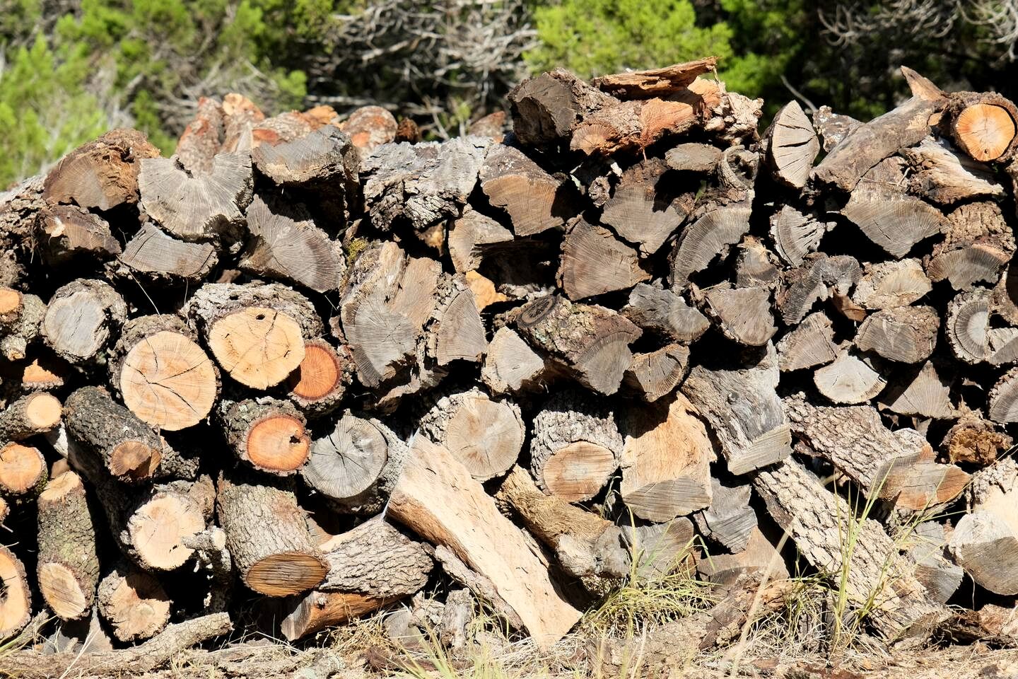 Bright and Cheery Hill Country Retreat for a Relaxing Vacation in Texas