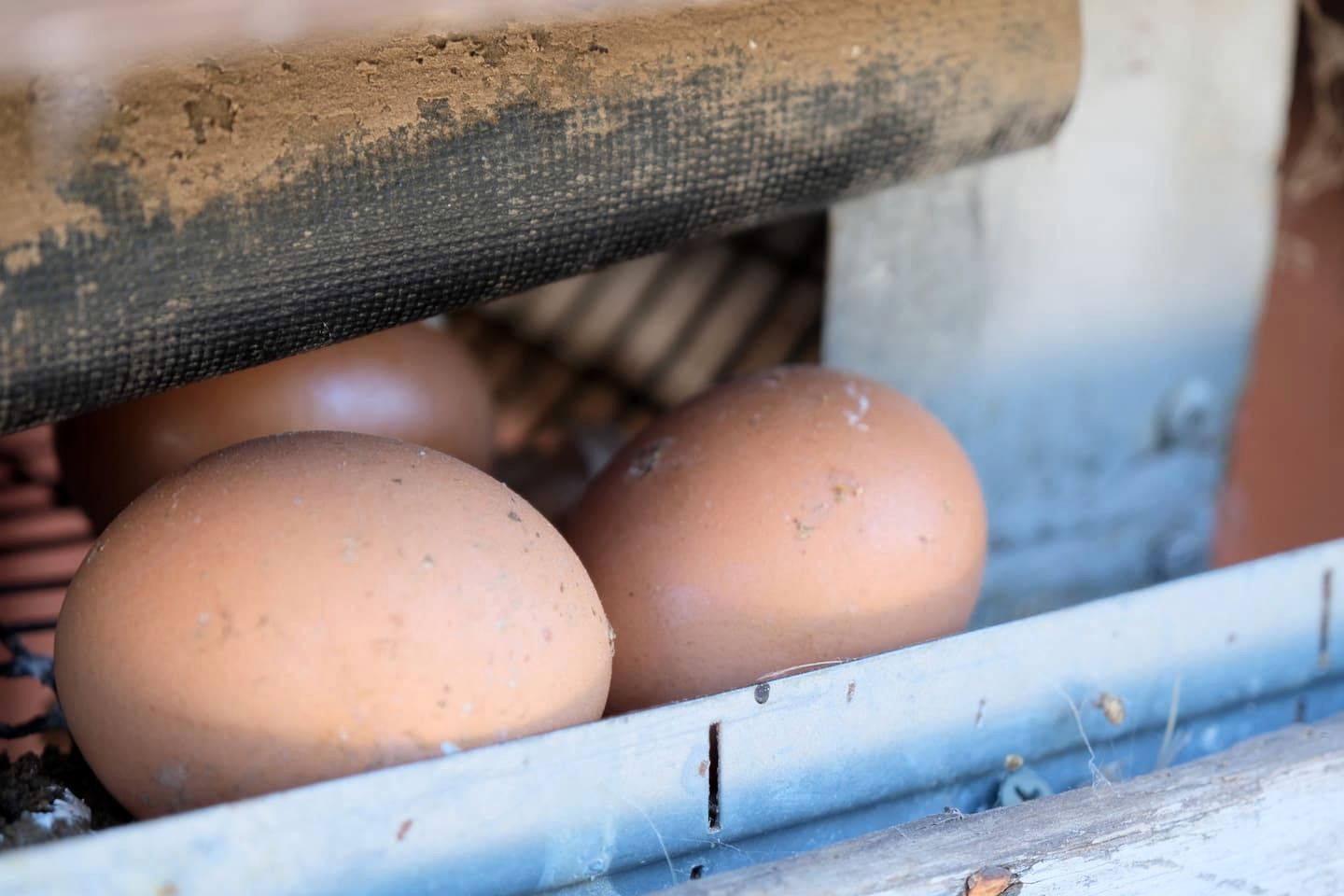 Bright and Cheery Hill Country Retreat for a Relaxing Vacation in Texas
