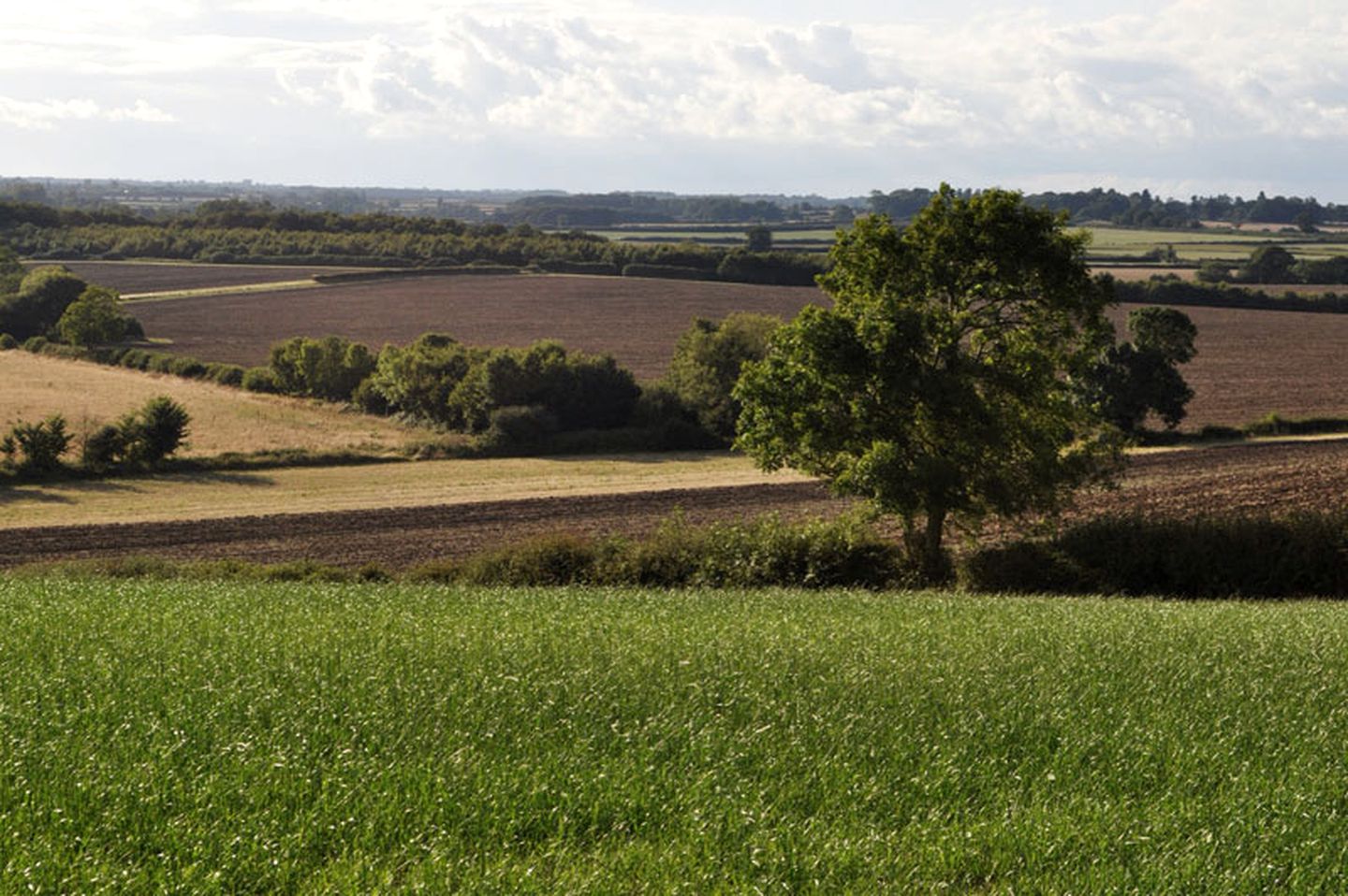 Rustic Hut Rental with Gorgeous Countryside Views near Bicester Village, England
