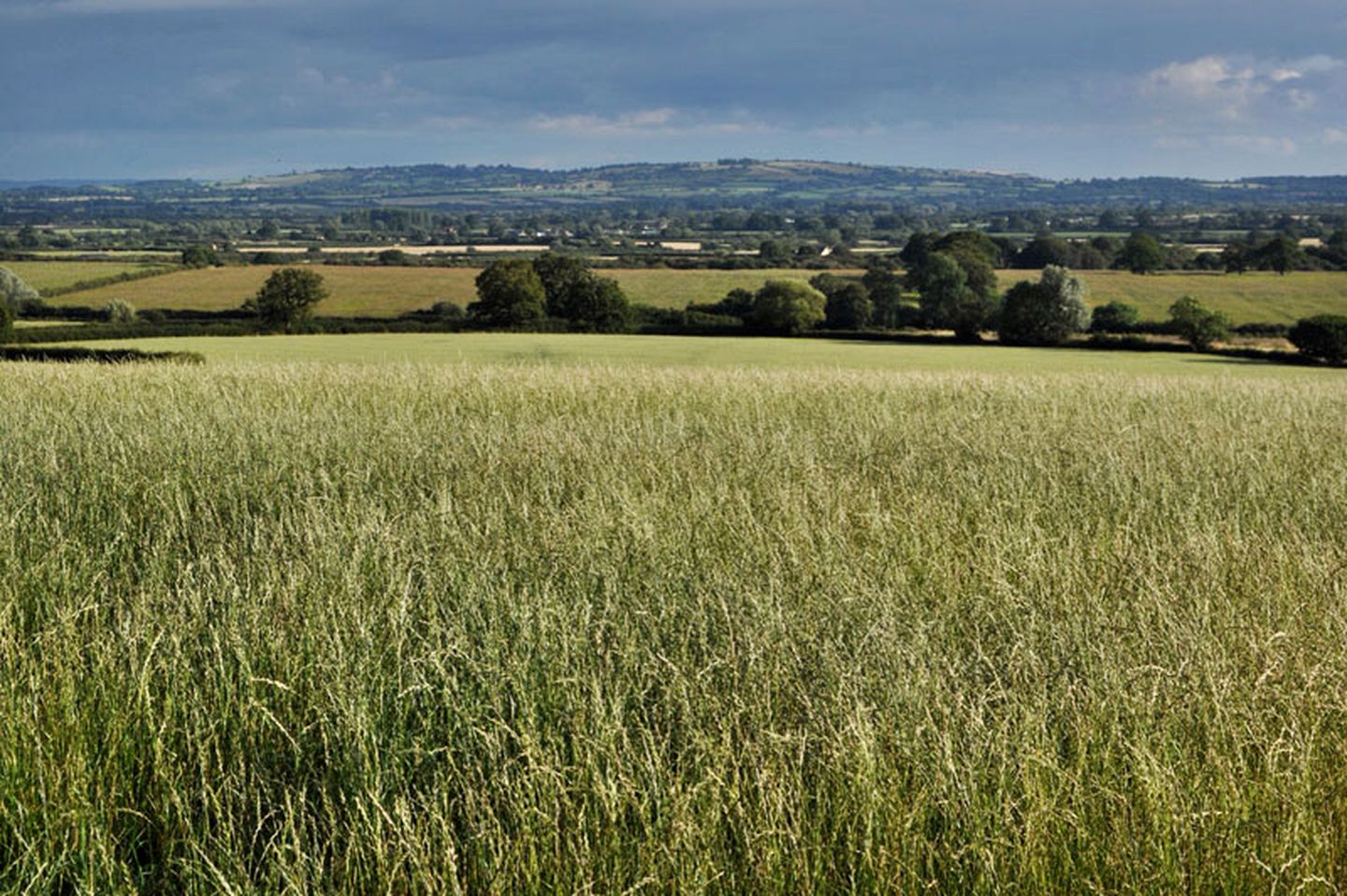 Rustic Hut Rental with Gorgeous Countryside Views near Bicester Village, England