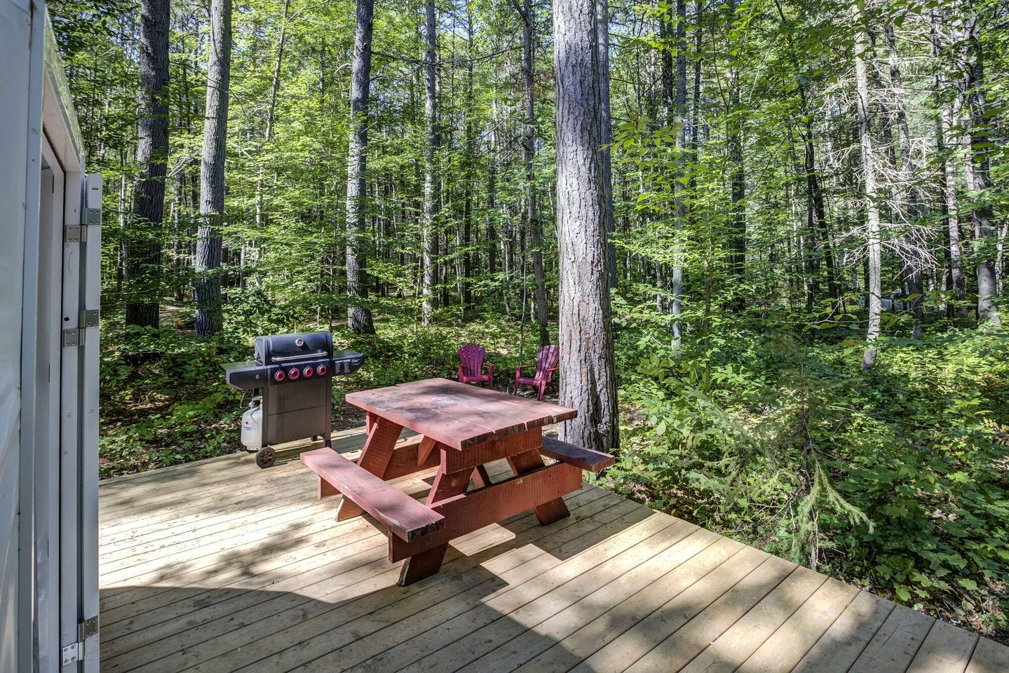 Fantastic Dome Nestled Amidst Trees and Barbecue Provided in Petawawa, Ontario