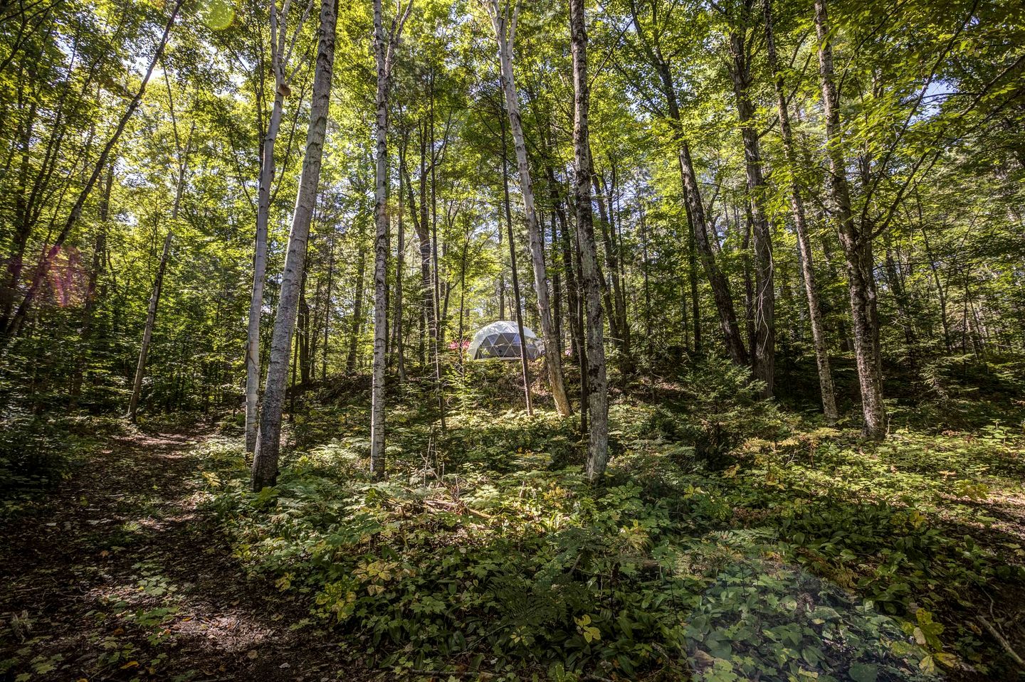 Fantastic Dome Nestled Amidst Trees and Barbecue Provided in Petawawa, Ontario