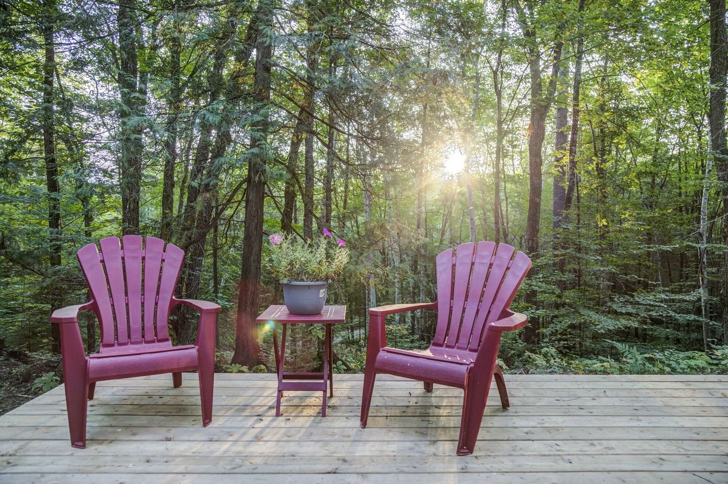 Fantastic Dome Nestled Amidst Trees and Barbecue Provided in Petawawa, Ontario