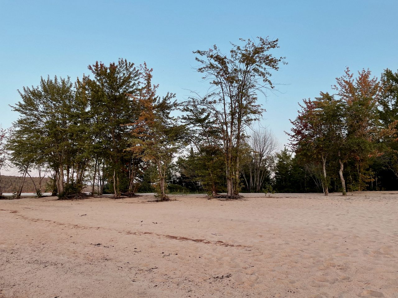 Fantastic Dome Nestled Amidst Trees and Barbecue Provided in Petawawa, Ontario