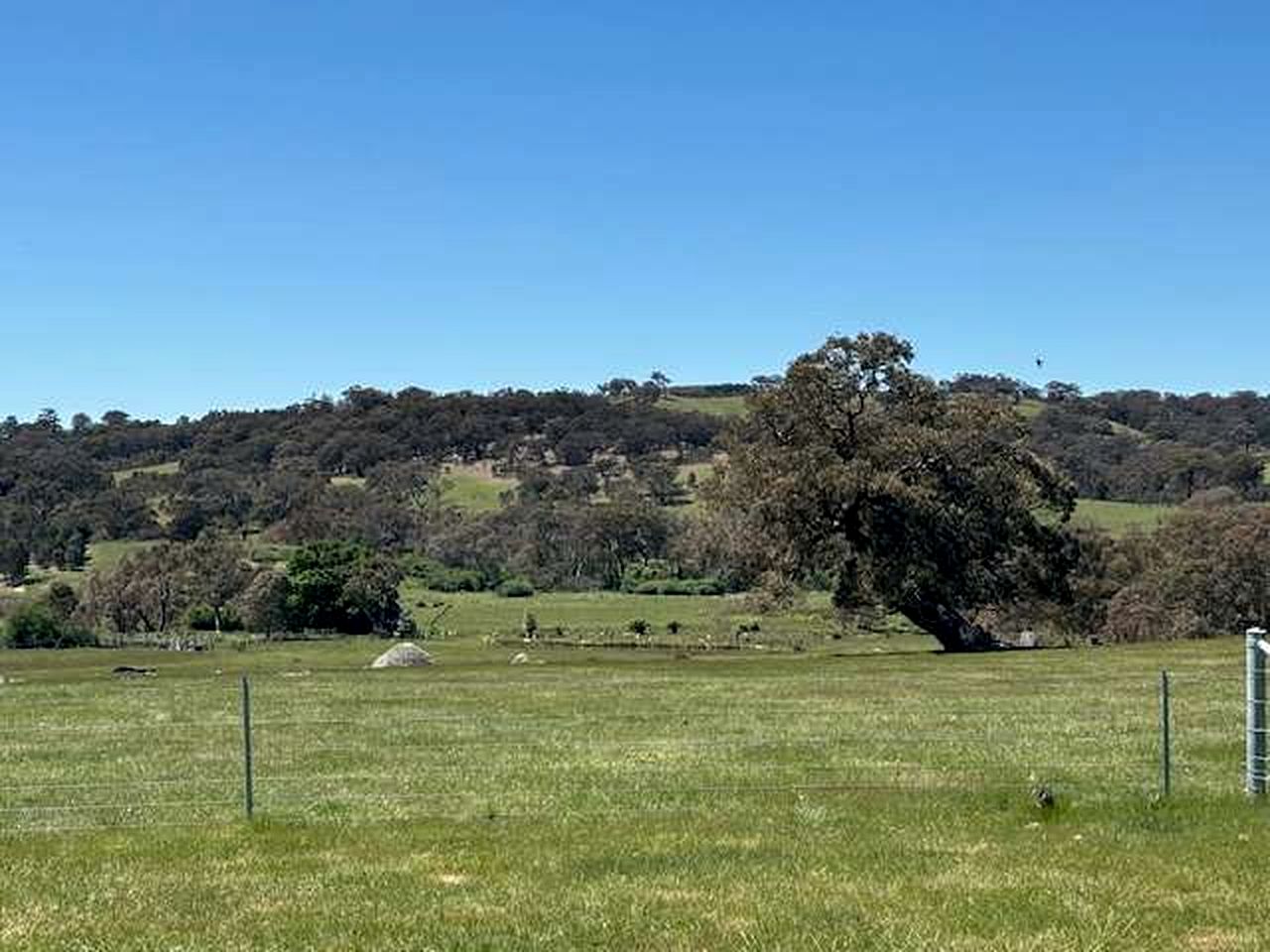 Fantastic Tiny House with Amazing Views of the Surrounding Hills and the Stars at Night in Taradale, Victoria