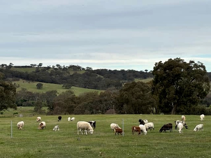 Vacation Rentals (Australia, --, --)