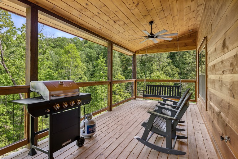 Cabins (United States of America, Sevierville, Tennessee)