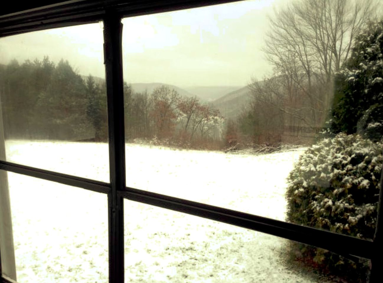 Private Cabin Rental with Spacious Yard near Sproul State Forest in Pennsylvania