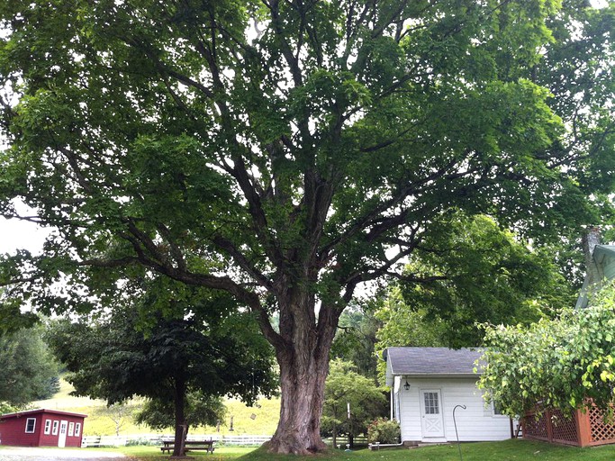 Cabins (Salem, New York, United States)