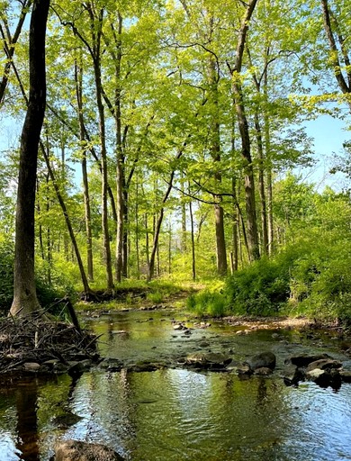 Vacation Rentals (United States of America, Princeton, New Jersey)