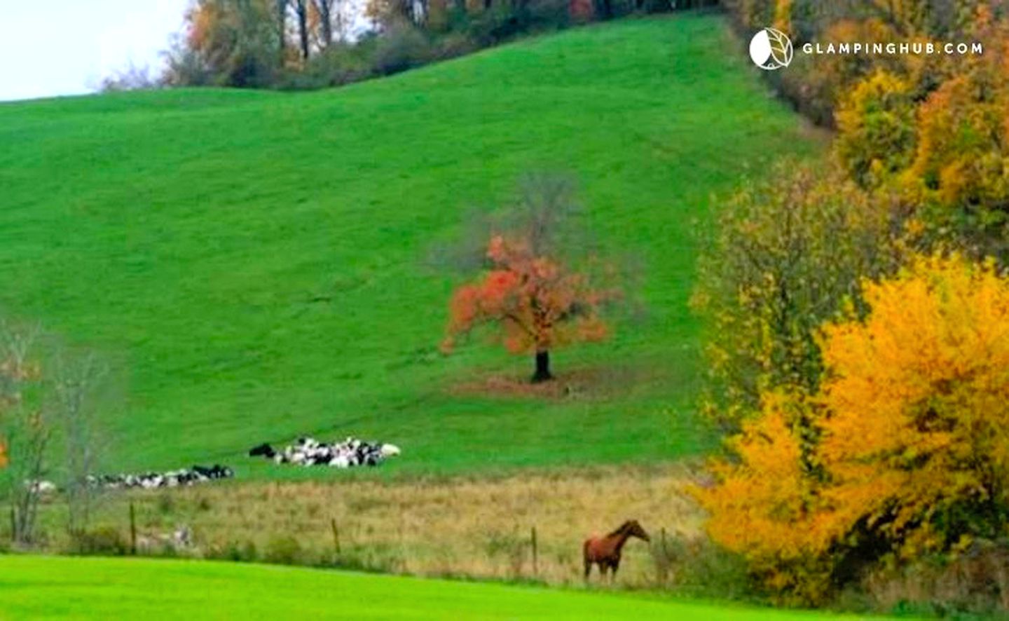 Historic Farm Vacation Rental for Eight with Daily Breakfast near Pulaski State Park, Rhode Island