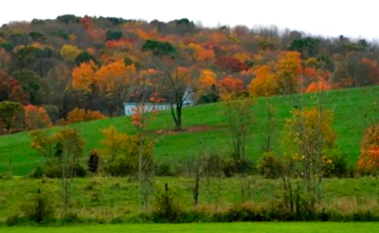 Nature Lodges (Pascoag, Rhode Island, United States)