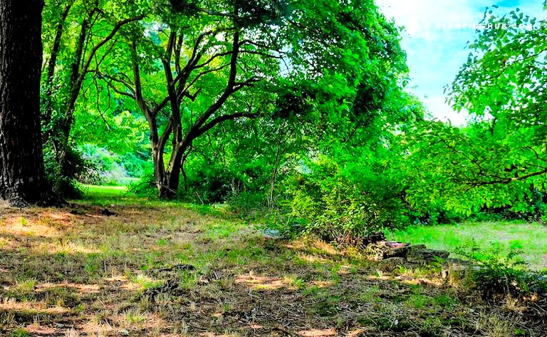 Villas (Manchester, Connecticut, United States)