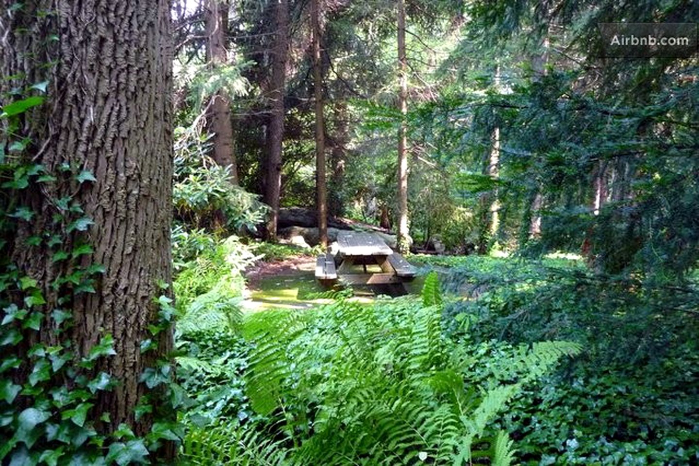 Historic Mountain Cottage Rental with Classic and Modern Features in Somerset, Pennsylvania