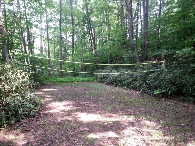 Cabins (Somerset, Pennsylvania, United States)