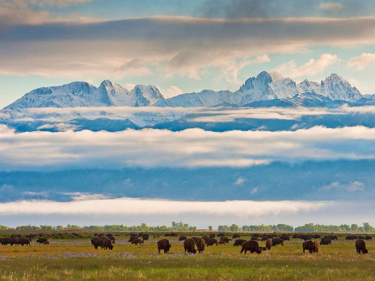 Historic Ranch on 103,000 Stunning Acres of Wildlife, Colorado