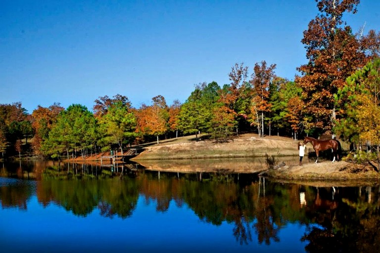 Cabins (United States of America, Wilsonville, Alabama)