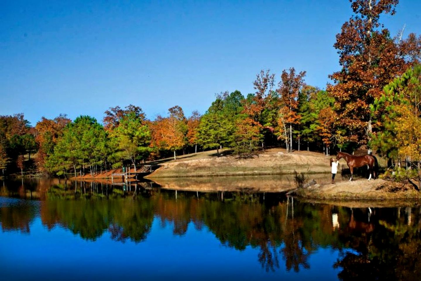 Historic Rural Cabin Ideal for Families in Wilsonville, Alabama