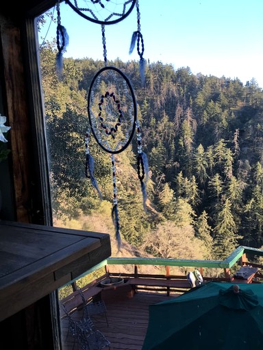 Cabins (United States of America, Palomar Mountain, California)