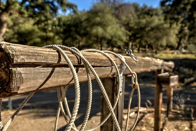 Cabins (United States of America, Palomar Mountain, California)