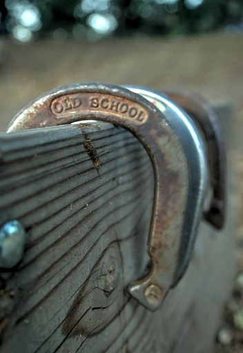 Cabins (United States of America, Palomar Mountain, California)