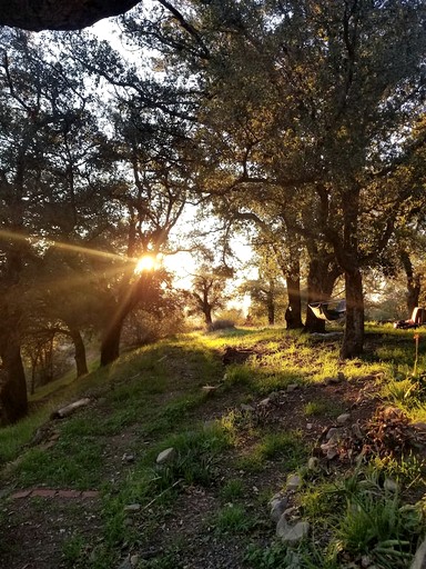 Cabins (United States of America, Palomar Mountain, California)