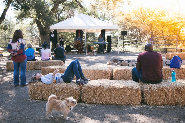 Cabins (United States of America, Palomar Mountain, California)