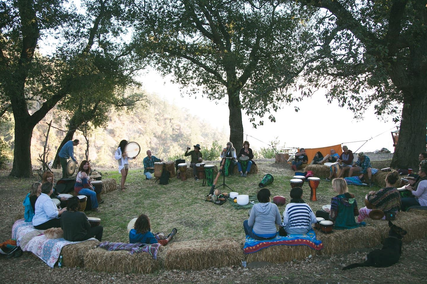 Rustic Mountain Lodge with Ocean Views near Palomar Observatory, Palomar Mountain CA