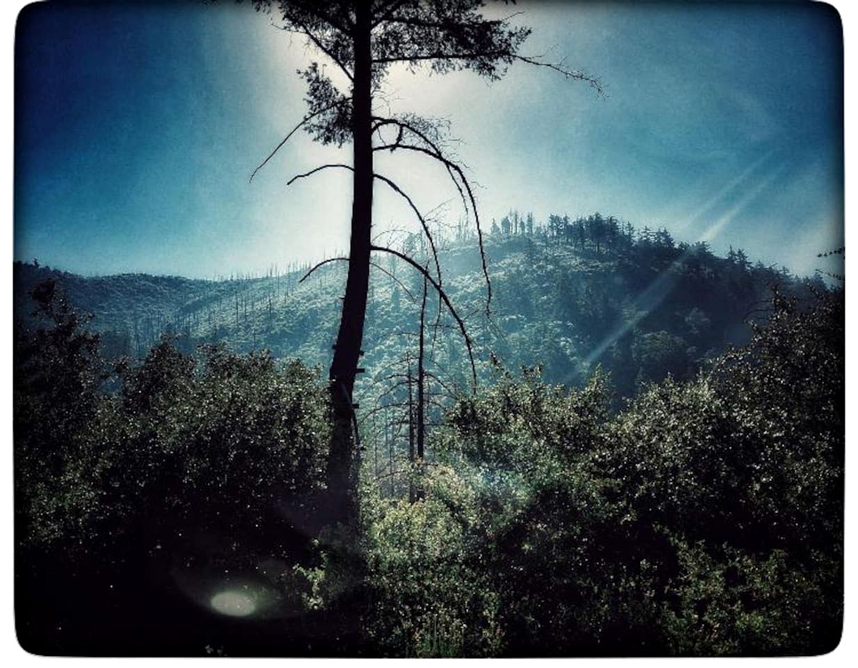 Rustic Mountain Lodge with Ocean Views near Palomar Observatory, Palomar Mountain CA