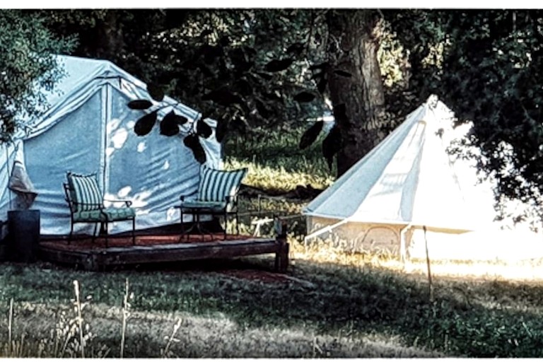 Cabins (United States of America, Palomar Mountain, California)