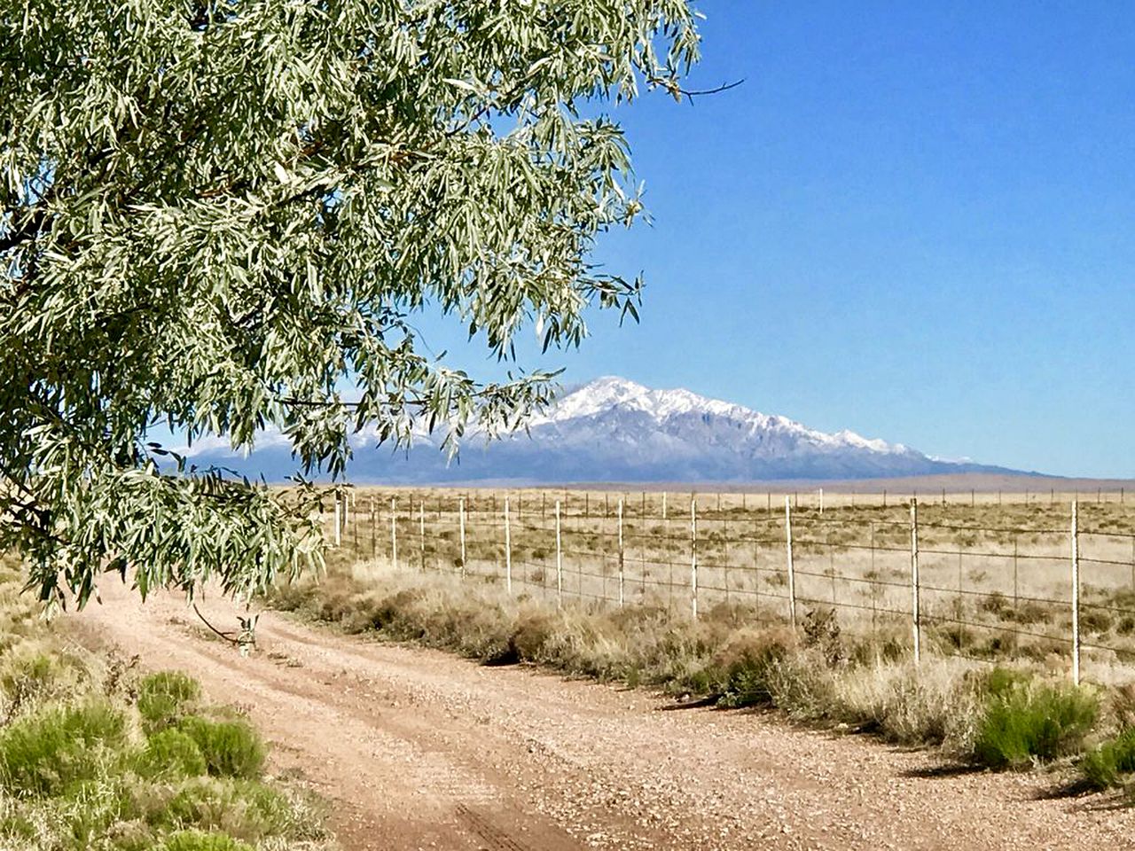 Desert Retreat in Roswell, New Mexico