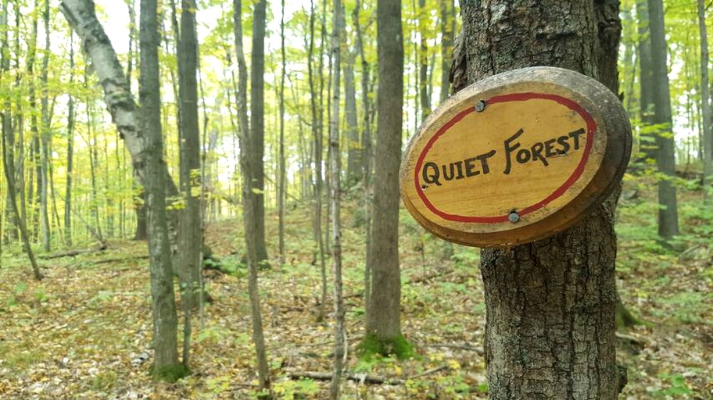 Enchanting Hobbit House in the Glades of the Frontenac Arch Biosphere Reserve