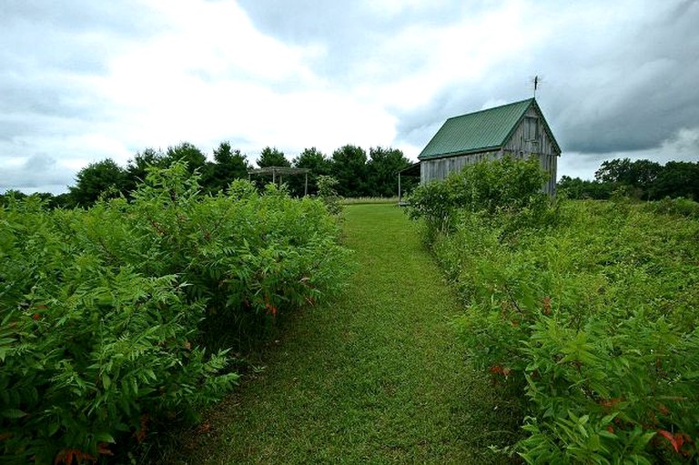 Cottages (Creola, Ohio, United States)