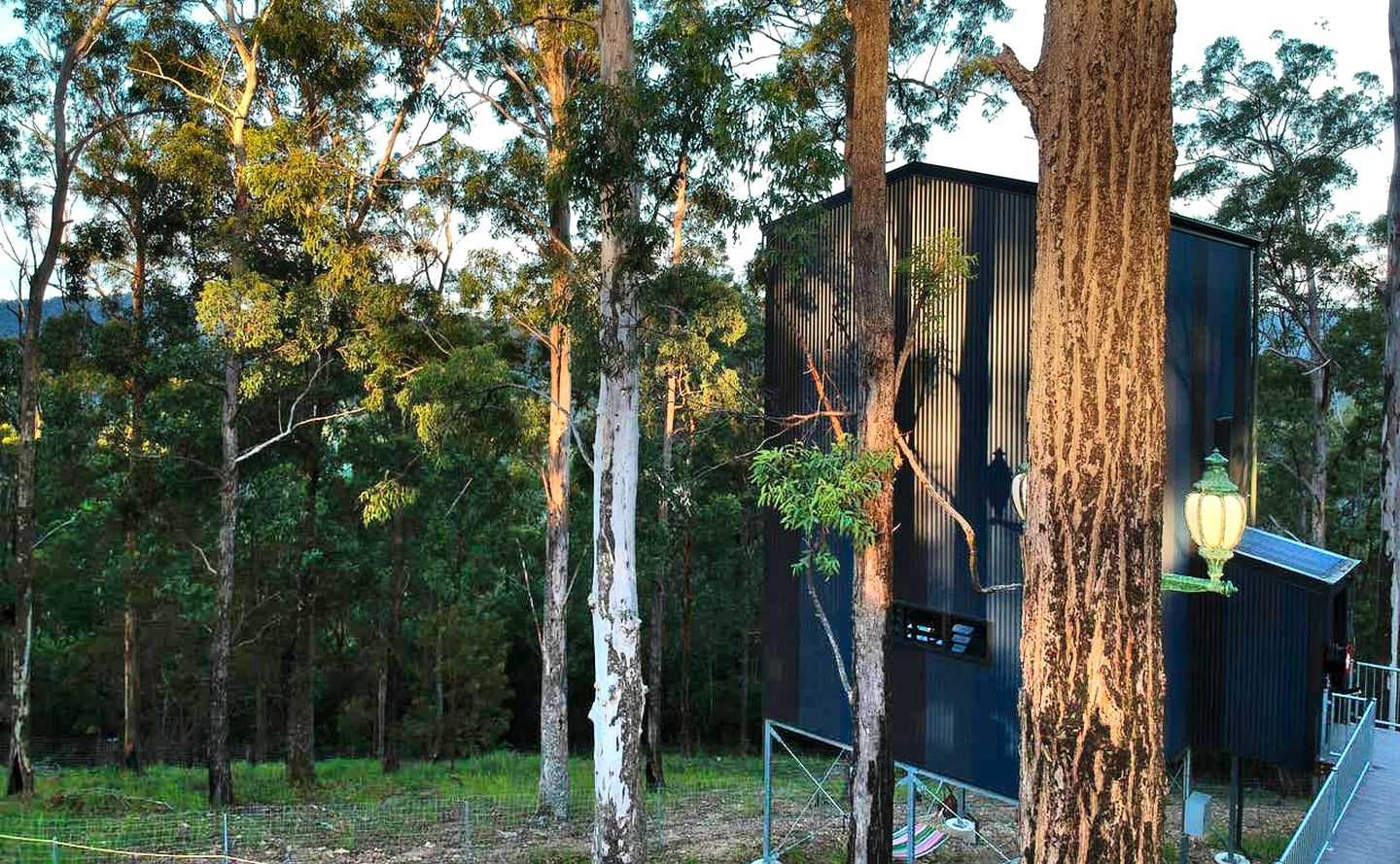 Stunning Tree House with Pool Access Ideal for Luxury Holiday Accommodation, Gold Coast