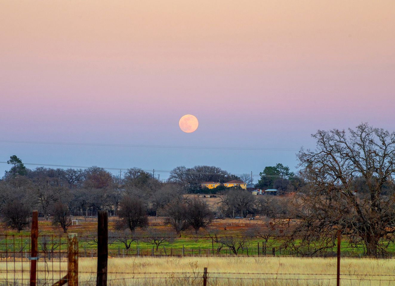 Unique Cabin Perfect for Stargazing in Texas Wine Country in Downtown Fredericksburg
