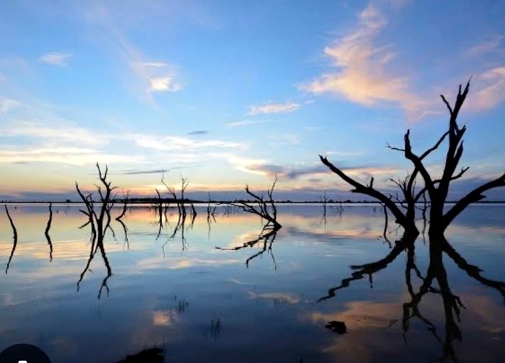 Vacation Rentals (Australia, --, --)